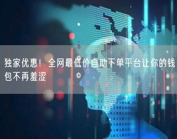 独家优惠！全网最低价自助下单平台让你的钱包不再羞涩