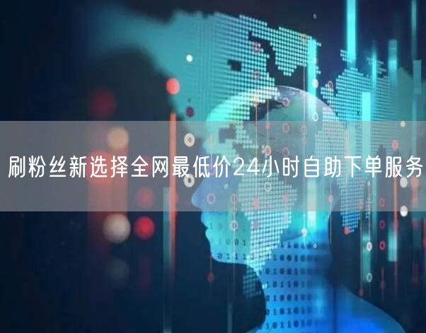 刷粉丝新选择全网最低价24小时自助下单服务