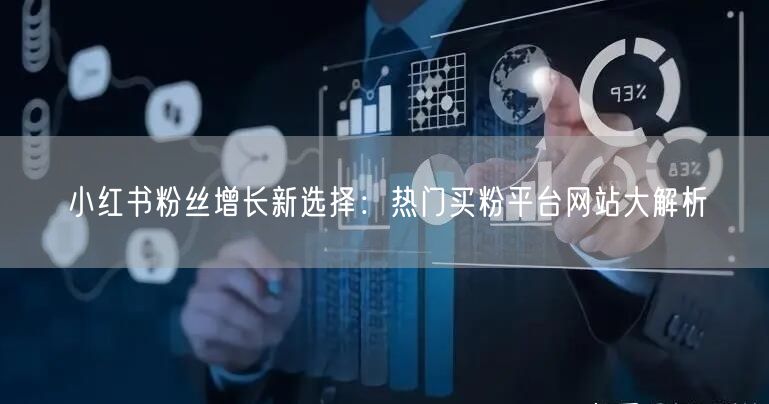 小红书粉丝增长新选择:热门买粉平台网站大解析