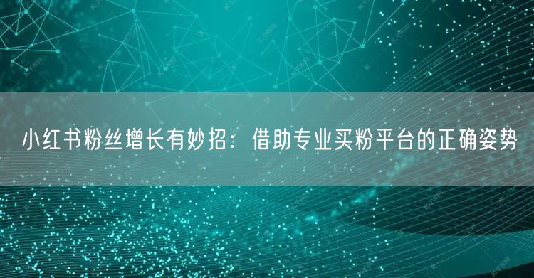 小红书粉丝增长有妙招:借助专业买粉平台的正确姿势