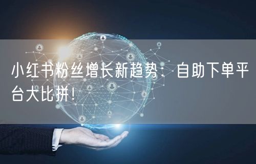 小红书粉丝增长新趋势:自助下单平台大比拼!