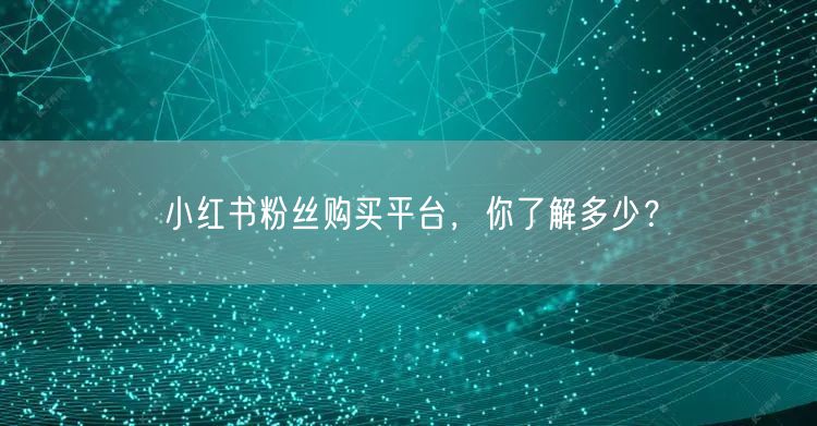 小红书粉丝购买平台，你了解多少？