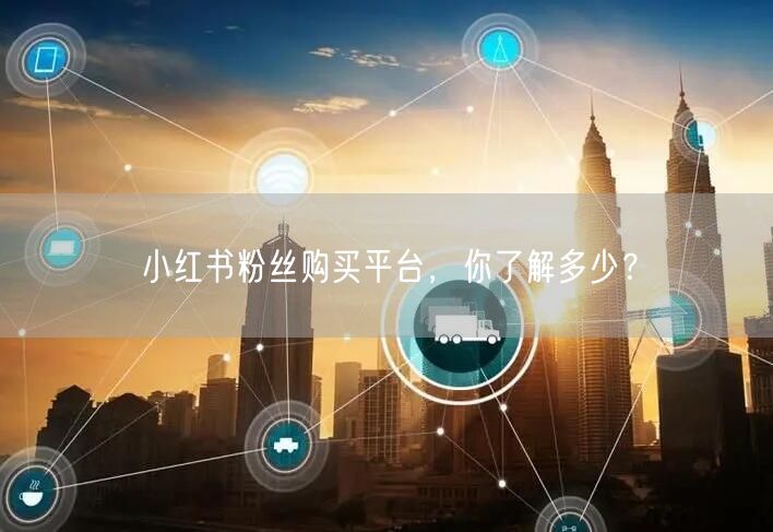 小红书粉丝购买平台，你了解多少？