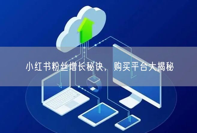 小红书粉丝增长秘诀，购买平台大揭秘