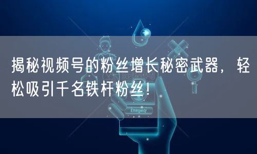 揭秘视频号的粉丝增长秘密武器，轻松吸引千名铁杆粉丝！