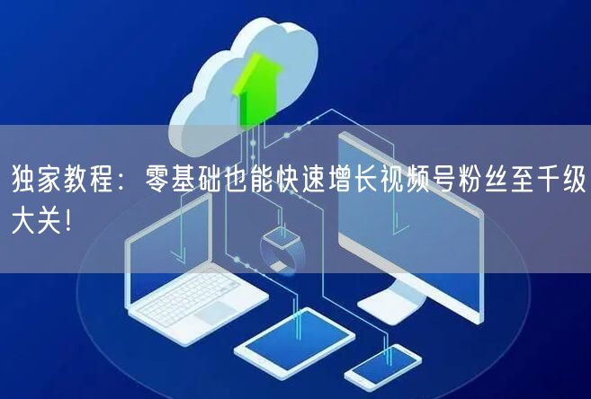 独家教程：零基础也能快速增长视频号粉丝至千级大关！